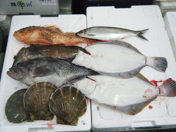 鮮魚セット注文例